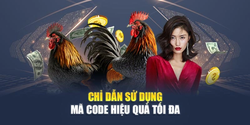 Chỉ dẫn sử dụng mã code hiệu quả tối đa